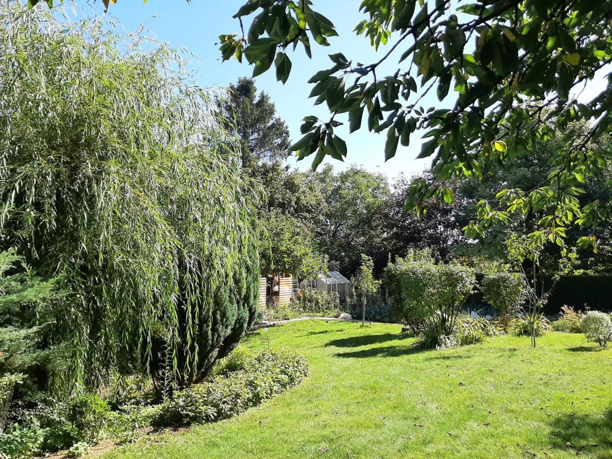 Le Refuge Du Hibou Bed and Breakfast Beaurains Buitenkant foto