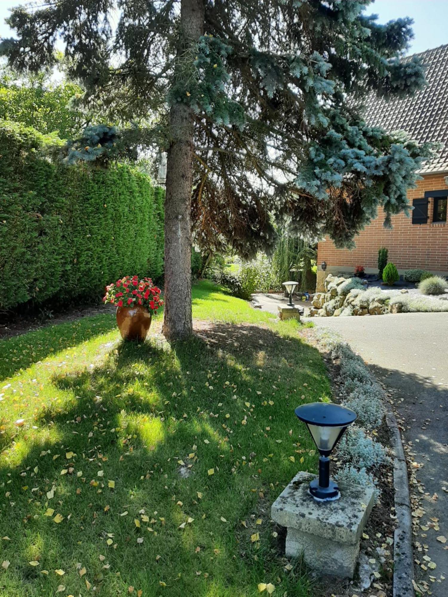 Le Refuge Du Hibou Bed and Breakfast Beaurains Buitenkant foto